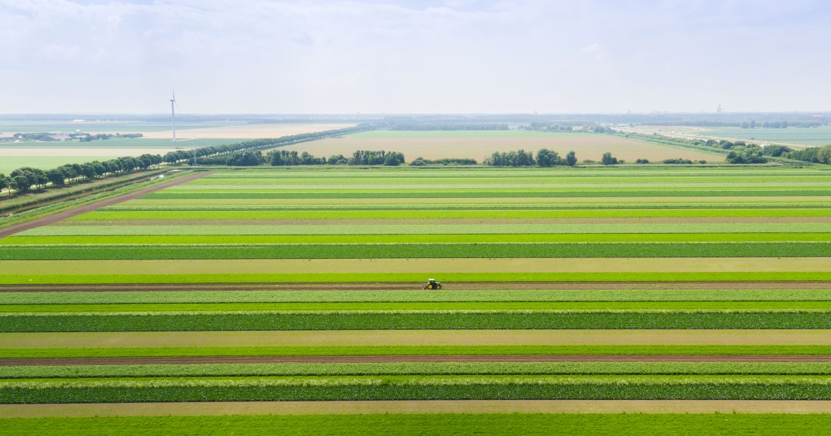 nederland-hzpc
